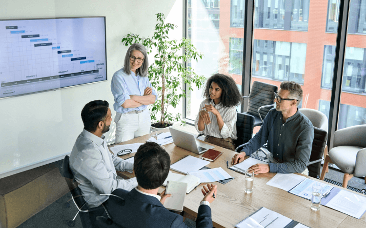 Management Consultancy Services